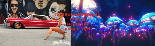 apvp Бугульма