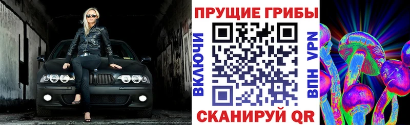 Псилоцибиновые грибы прущие грибы  omg зеркало  Одинцово 